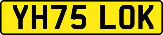 YH75LOK