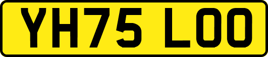 YH75LOO