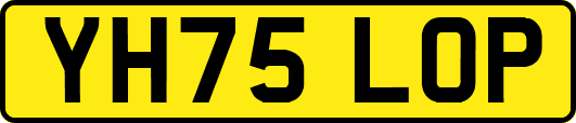 YH75LOP