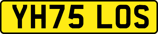 YH75LOS
