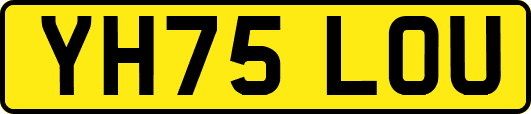 YH75LOU