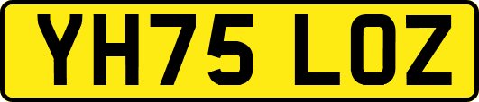 YH75LOZ