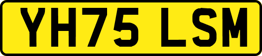YH75LSM