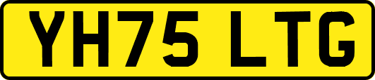 YH75LTG