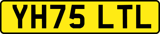 YH75LTL