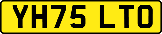 YH75LTO