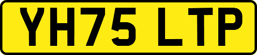 YH75LTP