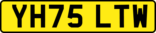 YH75LTW