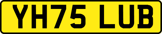 YH75LUB