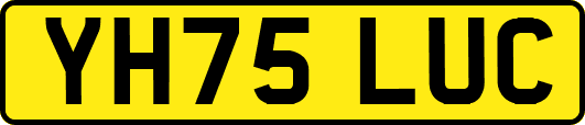 YH75LUC