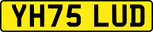 YH75LUD