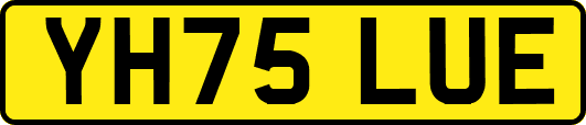 YH75LUE