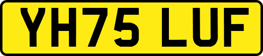 YH75LUF
