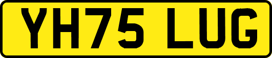 YH75LUG
