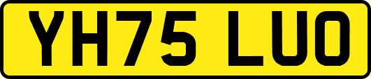 YH75LUO
