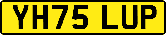 YH75LUP