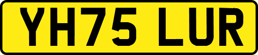 YH75LUR