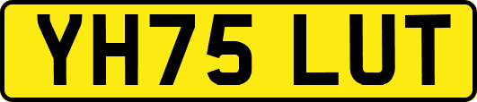YH75LUT