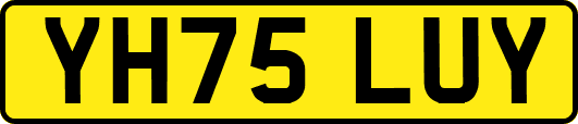 YH75LUY