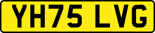 YH75LVG