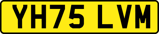 YH75LVM