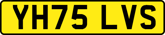 YH75LVS