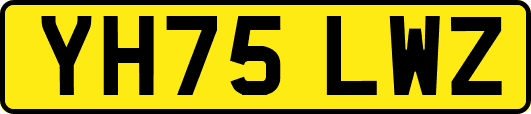 YH75LWZ