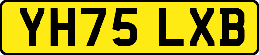 YH75LXB