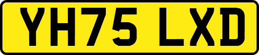 YH75LXD