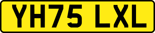 YH75LXL