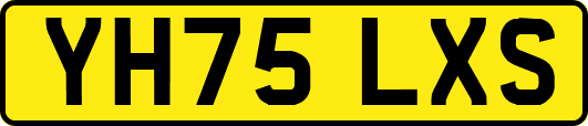 YH75LXS