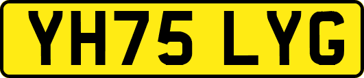 YH75LYG