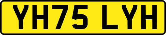 YH75LYH