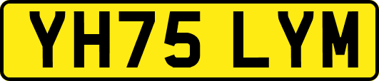 YH75LYM