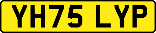 YH75LYP