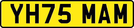 YH75MAM