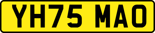 YH75MAO