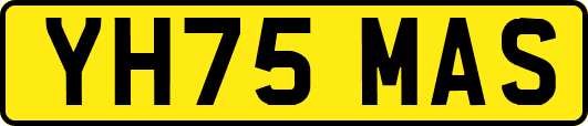 YH75MAS