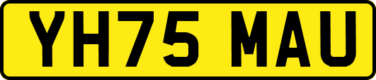 YH75MAU