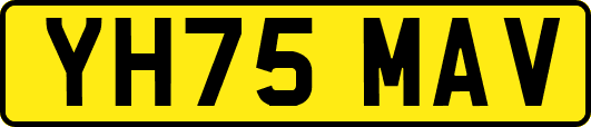 YH75MAV