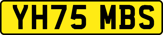 YH75MBS