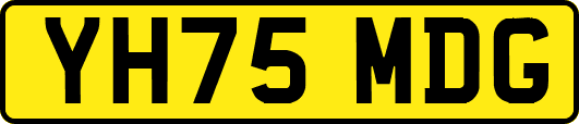 YH75MDG