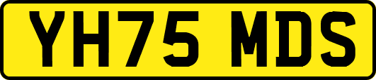 YH75MDS