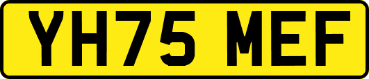 YH75MEF