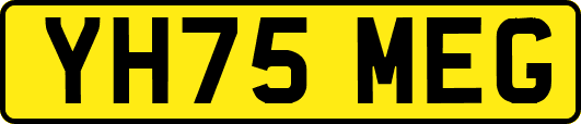 YH75MEG