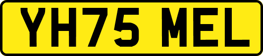YH75MEL