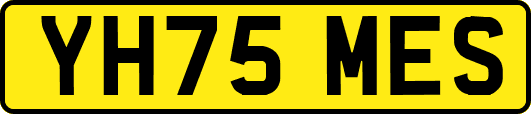 YH75MES