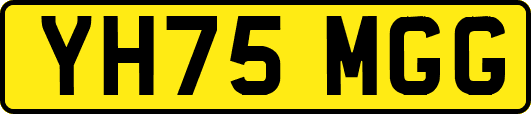 YH75MGG