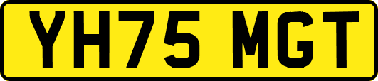 YH75MGT