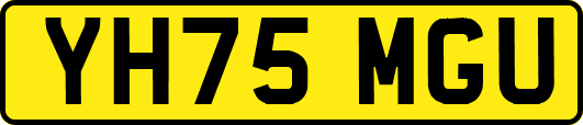 YH75MGU